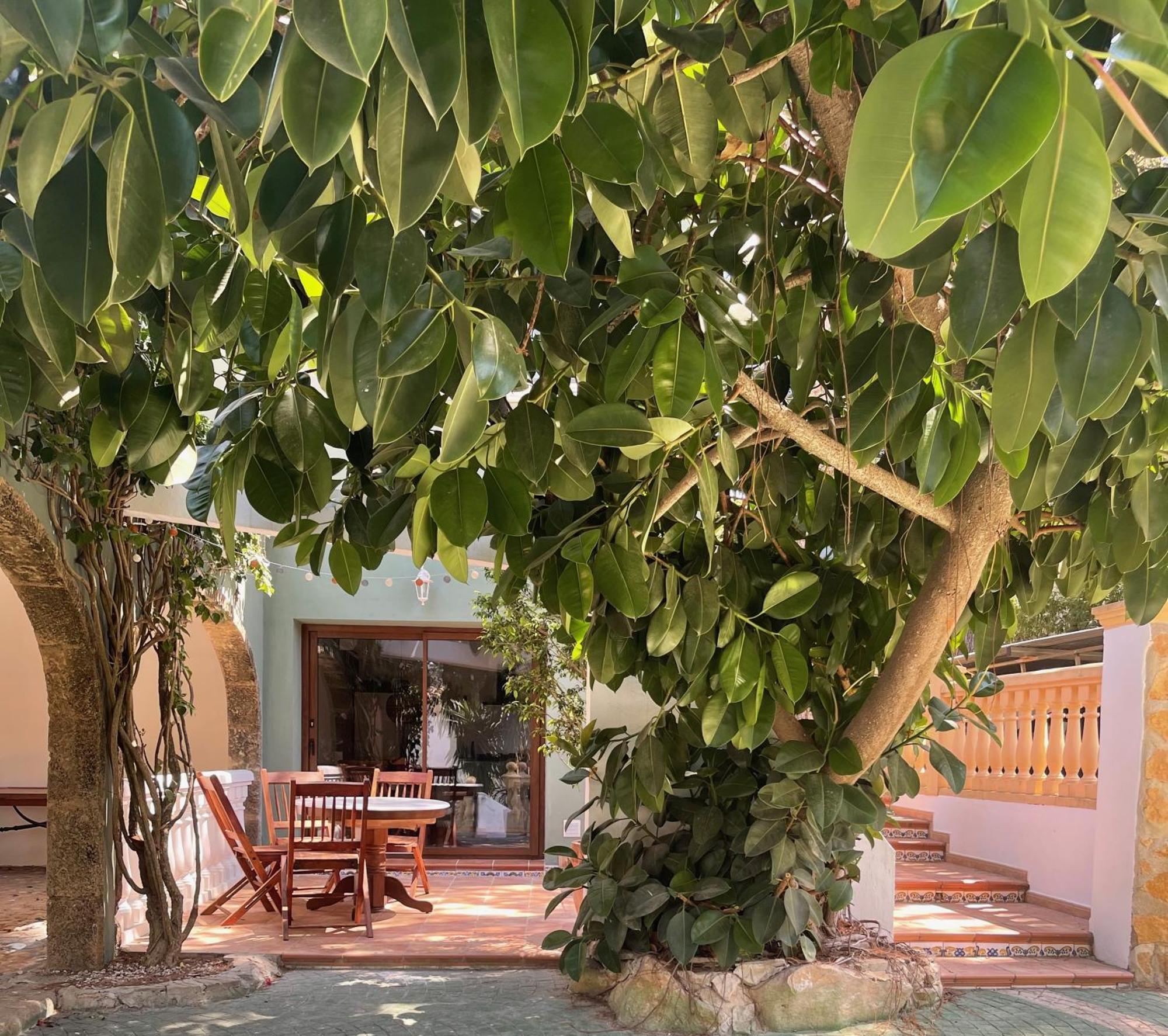 La Posada Paradiso Jávea エクステリア 写真